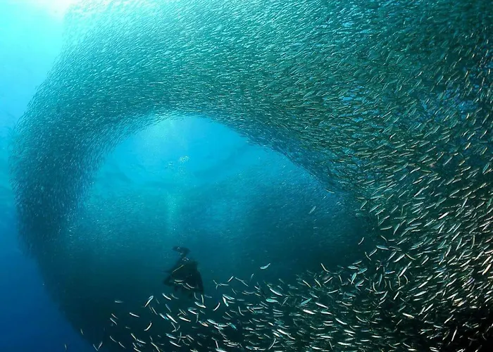 Teobas Diving Center