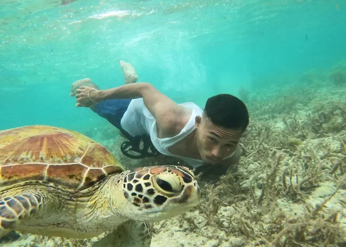 Moalboal Indino'S Guesthouse Sardines Run And Sea Turtle 1 Minute Walking Distance