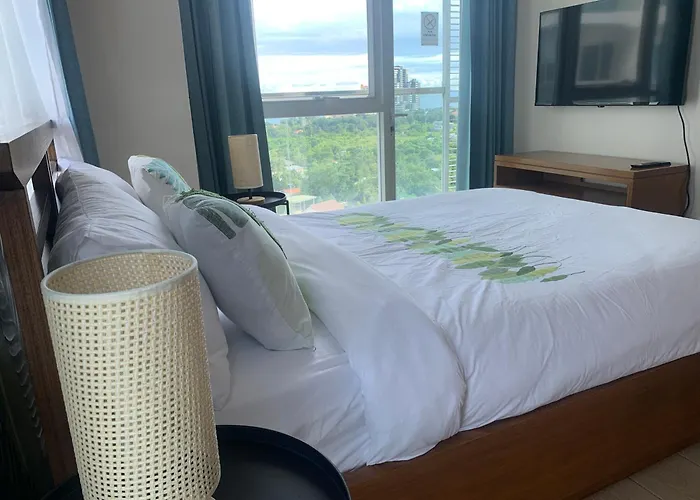 Two 2 Bedroom Apartment In Mactan Newtown Cebu