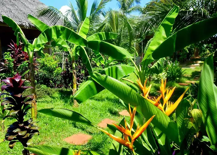 Michael'S Native Homestay