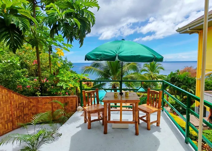 Camotes Harmony