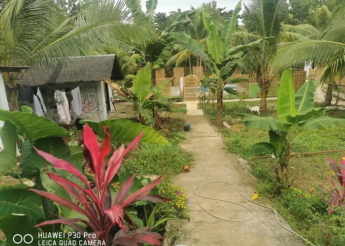 Jungle