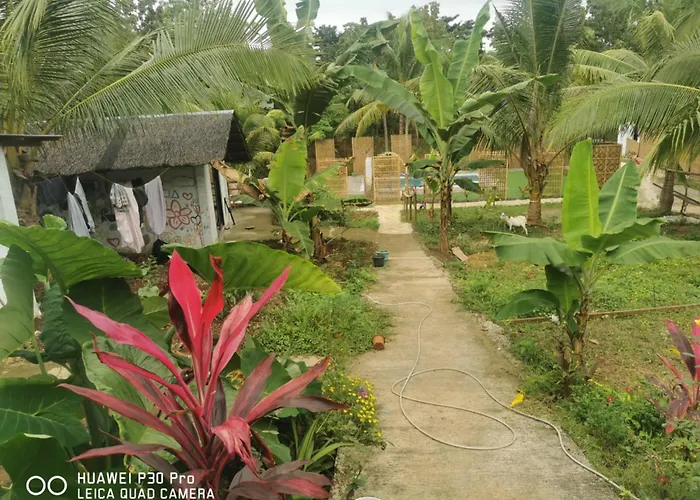 Jungle Restobar Bed