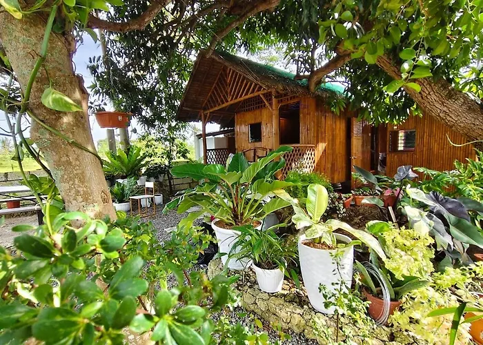 Traditional Native Bamboo Bungalow