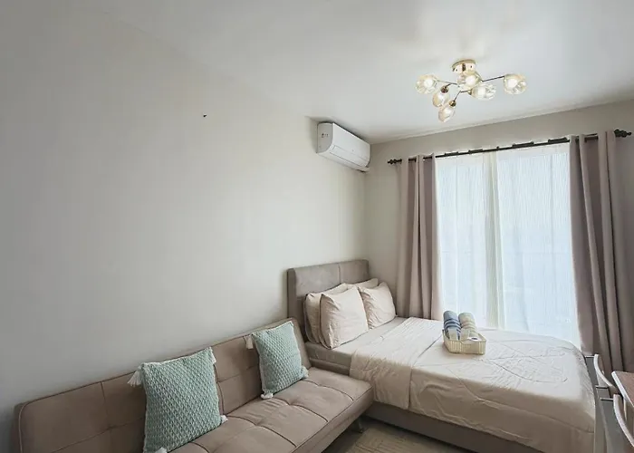The Purrfect Stay