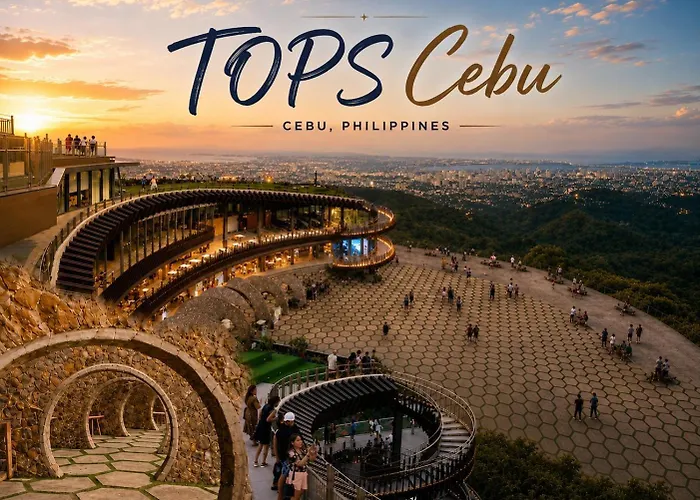 Cebu City Spacious 1Br Condo Highview It Park With Pool And Netflix