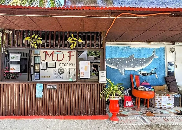 Mdf Beach Resort And Day Tours Near Whalesharks