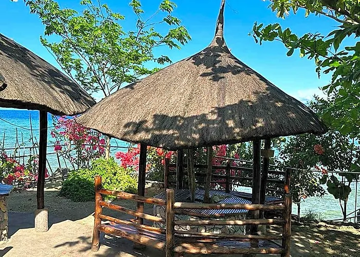 Nature Seaview