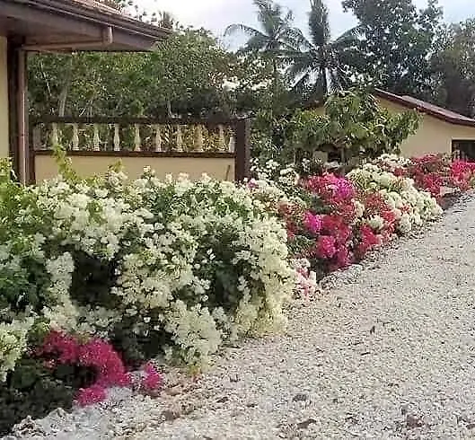 Garden Inn