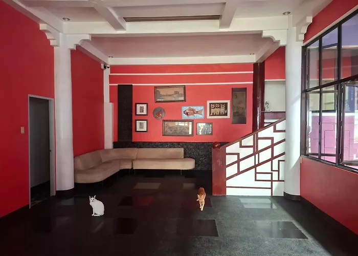 Thedors Boutique Hostel