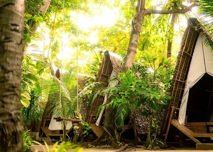 Georgia'S Neverland Hostel